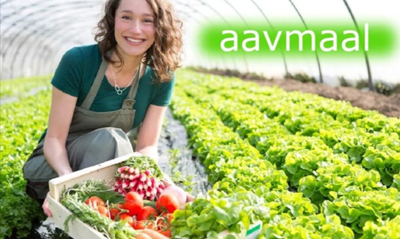 Aavmaal
